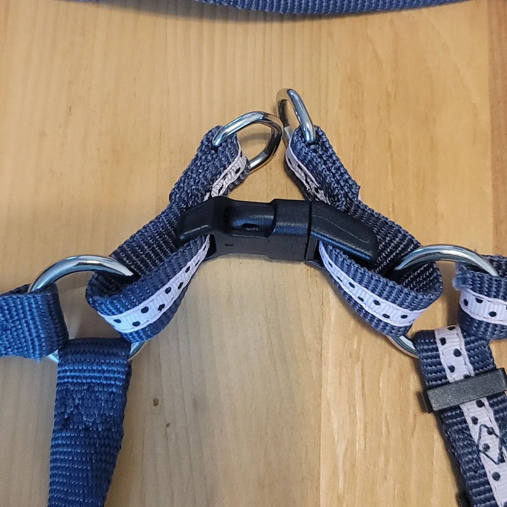 Femle Dog Polkadot HARNESS and MATCHING LEASH